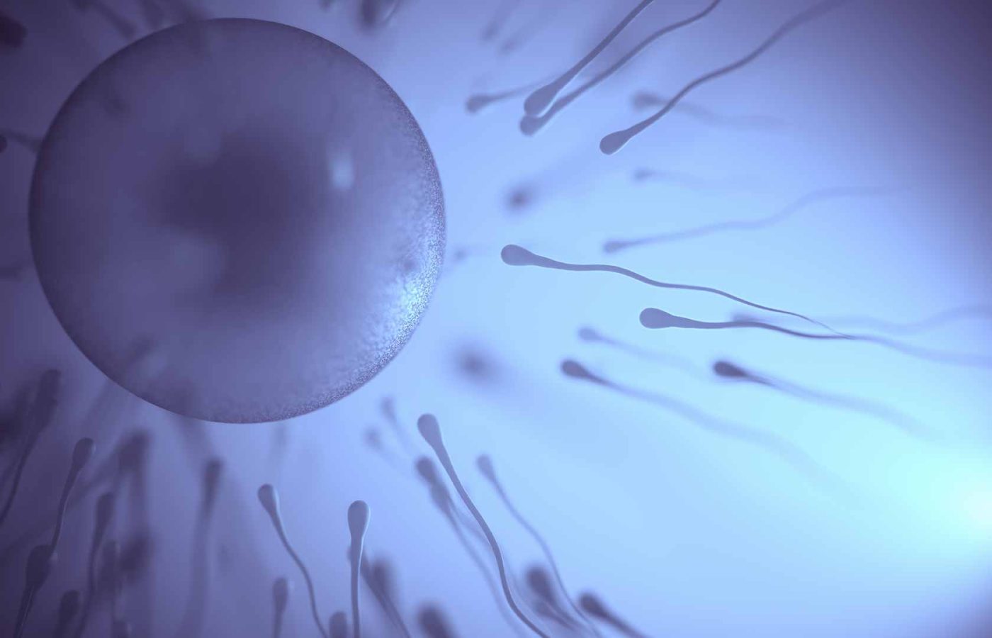 fertilita-maschile-napoli