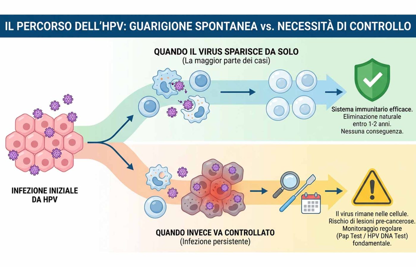 hpv
